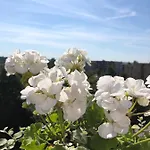 Bangu Apartamentai Palanga