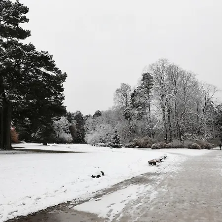 Bangu Apartamentai *