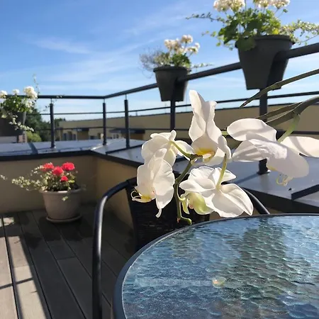 Bangu Apartamentai * Palanga