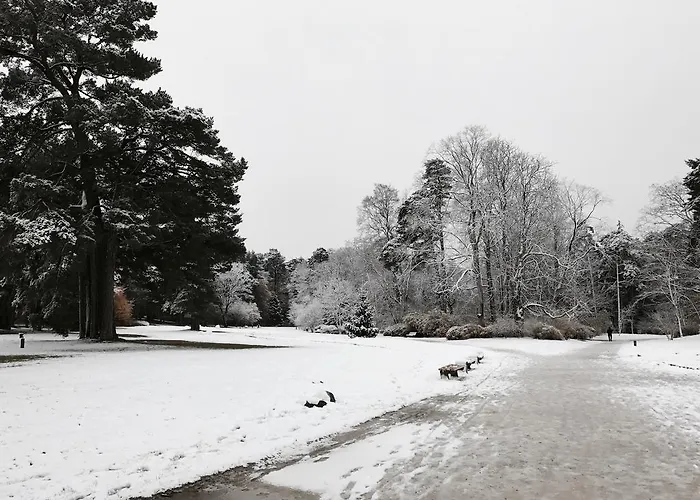 Bangu Apartamentai *