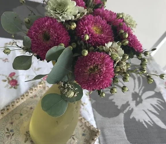 Bangu Apartamentai بالانغا