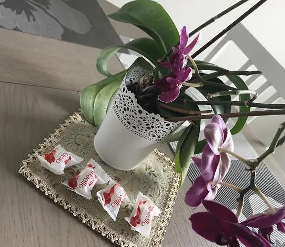 شقة Bangu Apartamentai