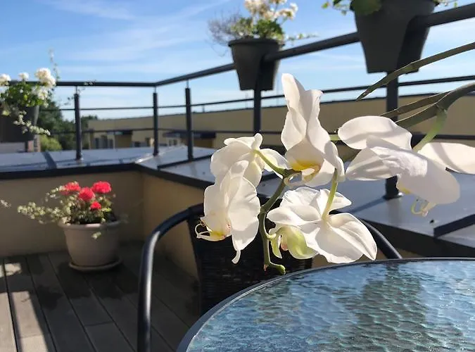 Bangu Apartamentai * Palanga