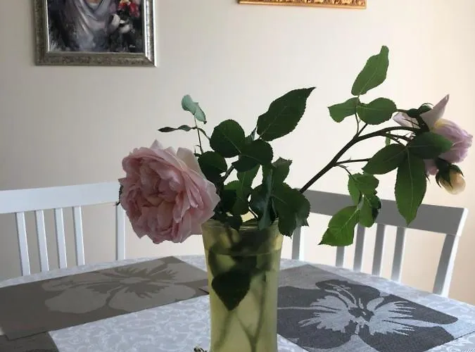 Bangu Apartamentai *